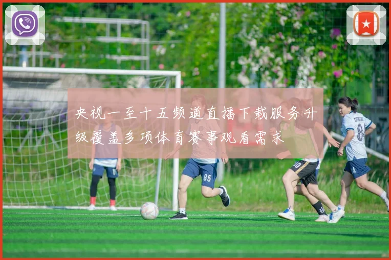 央视一至十五频道直播下载服务升级覆盖多项体育赛事观看需求