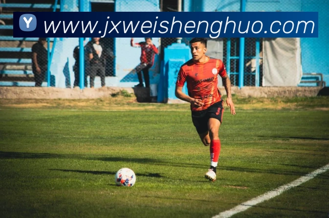 App Interface Preview