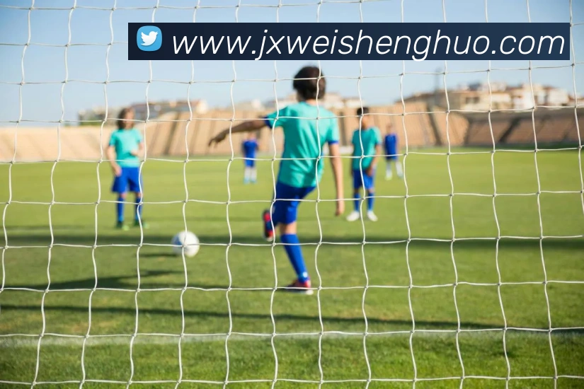 九游9官网入口APP 封面图